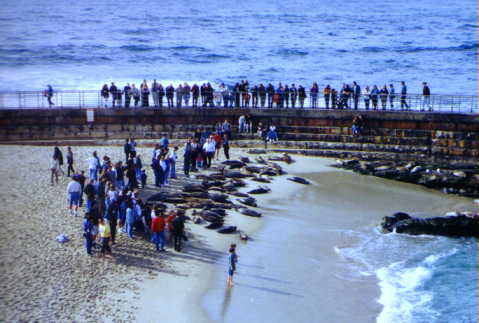 La Jolla