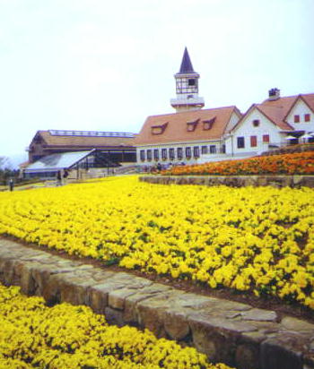 Yamanashi flower park
