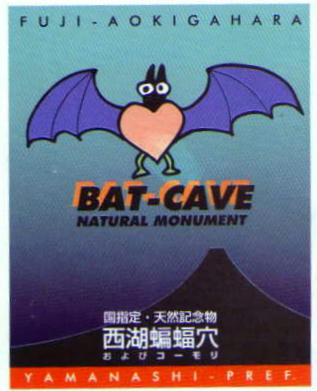 Lake Seiko Bat Cave