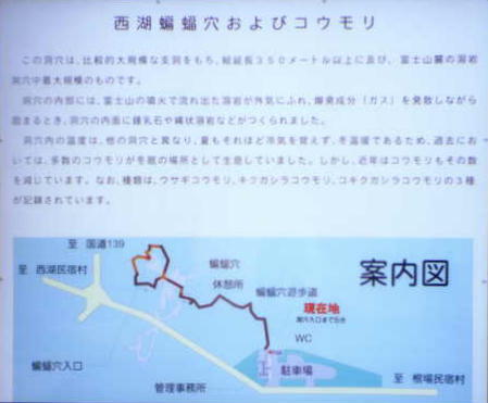 Lake Seiko Bat Cave