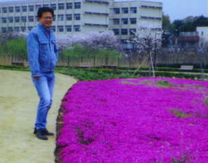 Omiya Hana-no-Oka Park