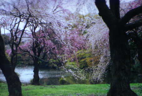 Gyoen