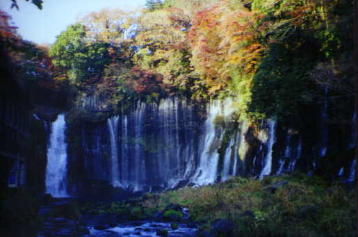 Shiraito