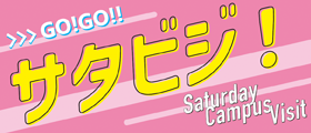 サタビジ