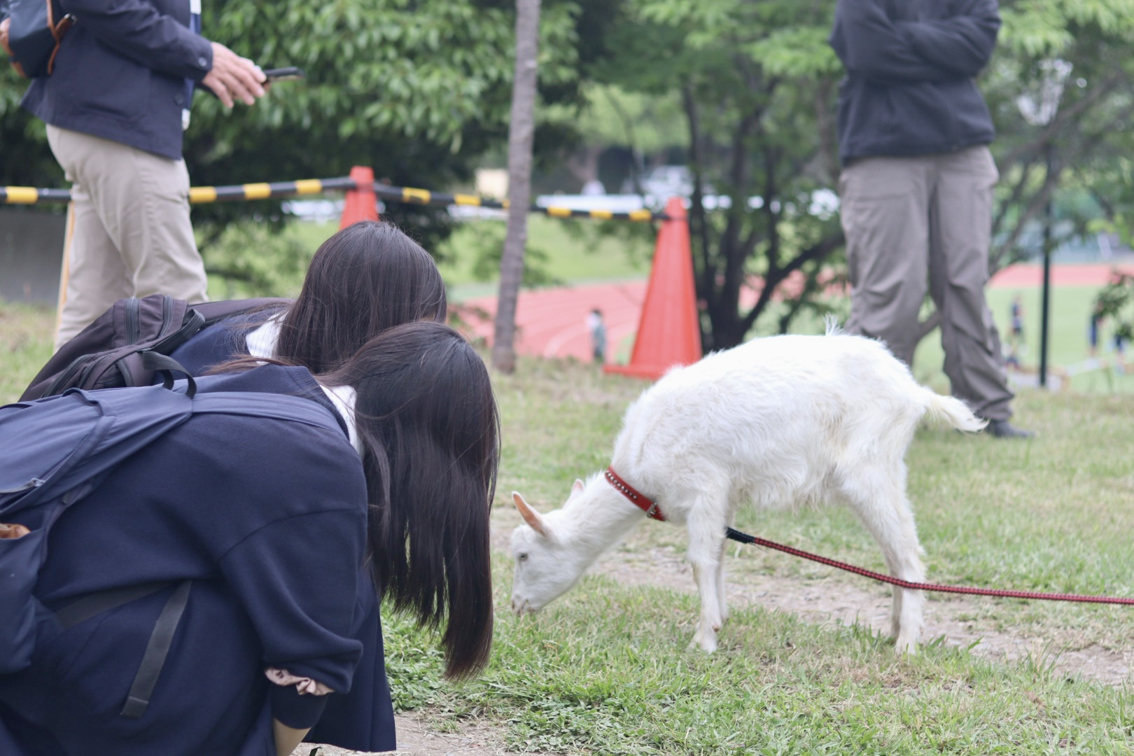 20250524_054143860_iOS