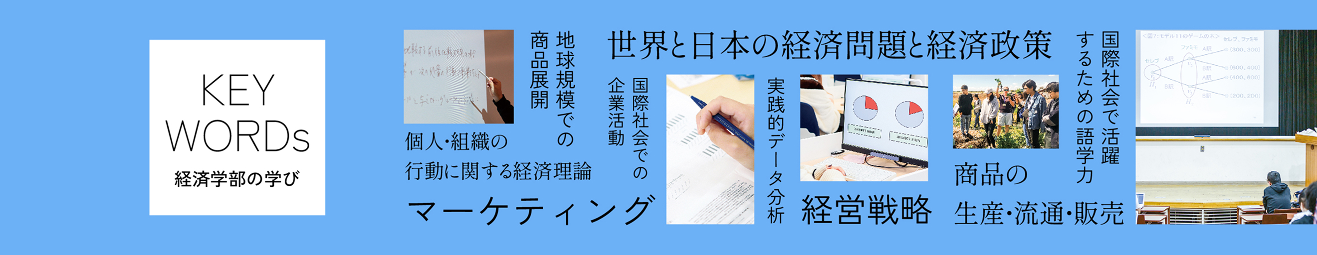 経済学部の学び