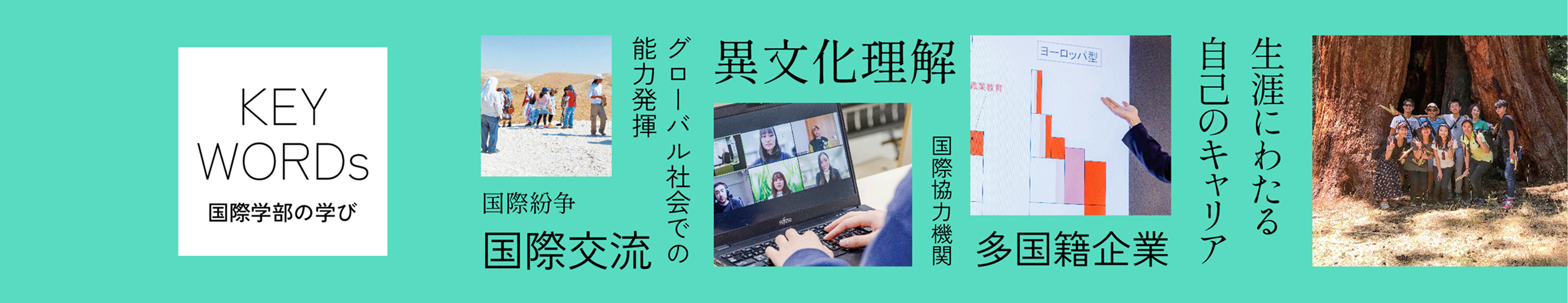 国際学部の学び