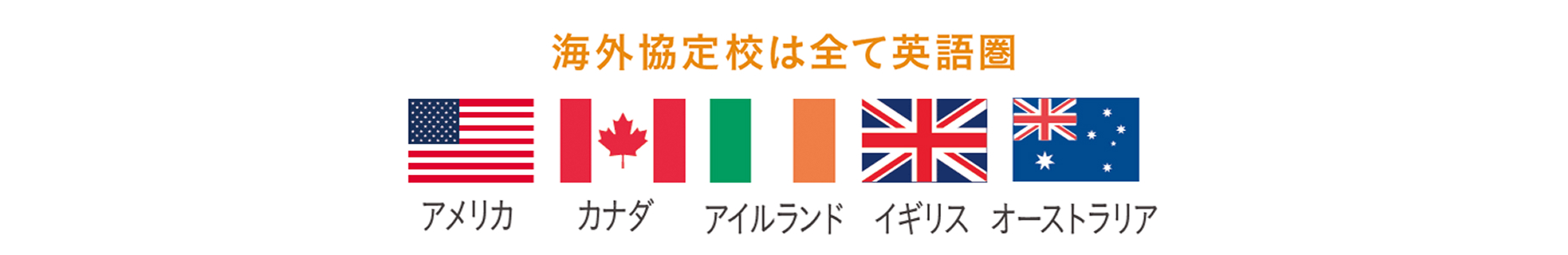 全員が英語圏に留学