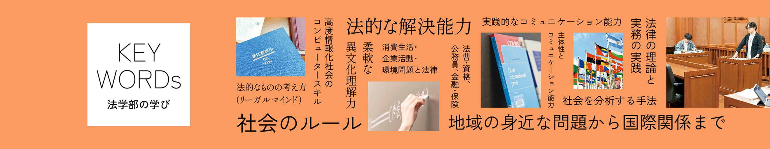 法学部の学び