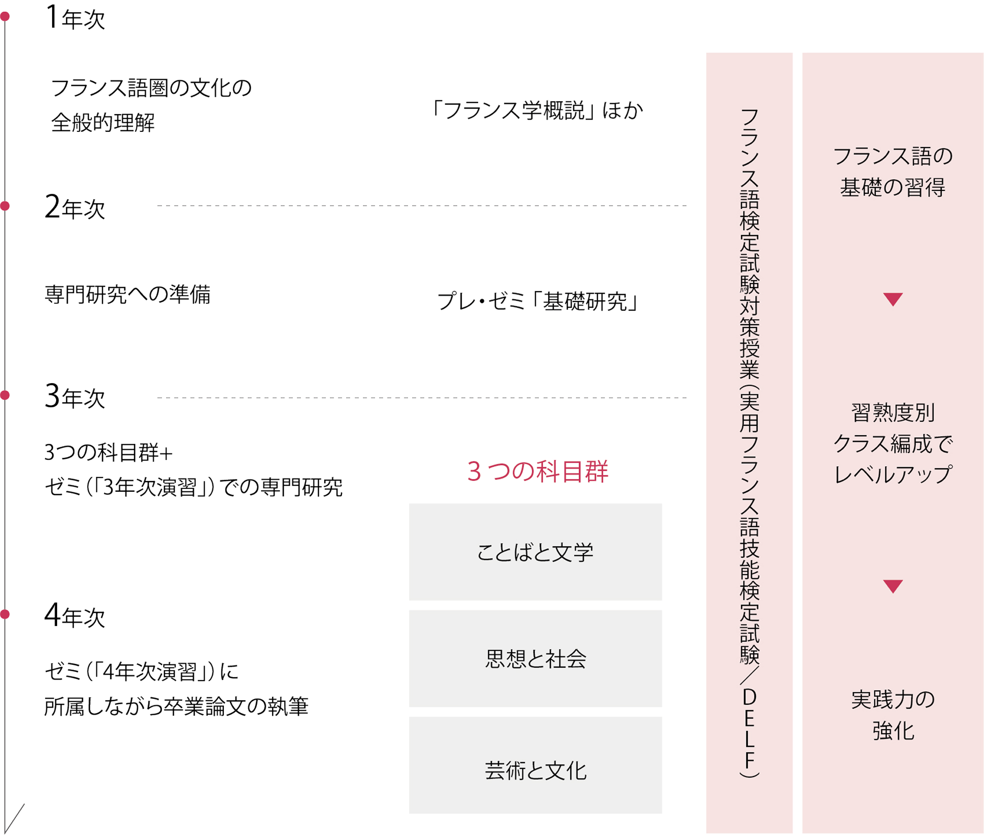 領域・流れ