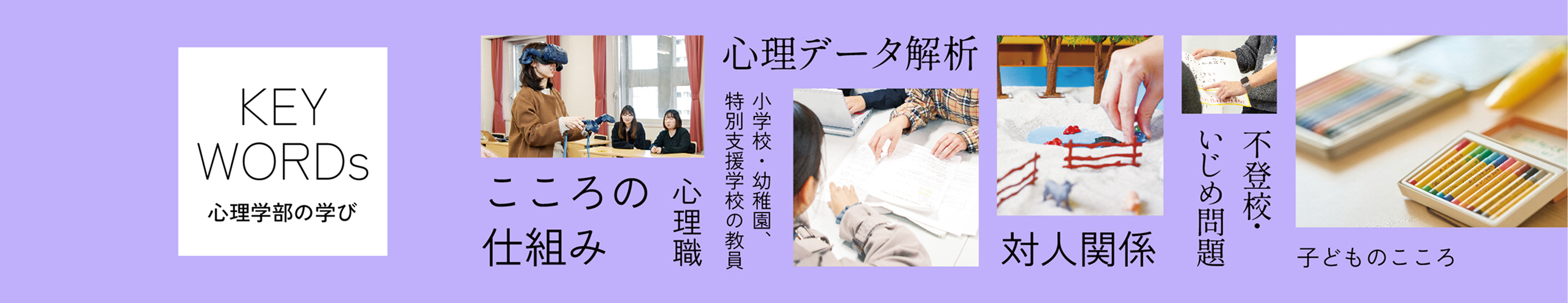 国際学部の学び