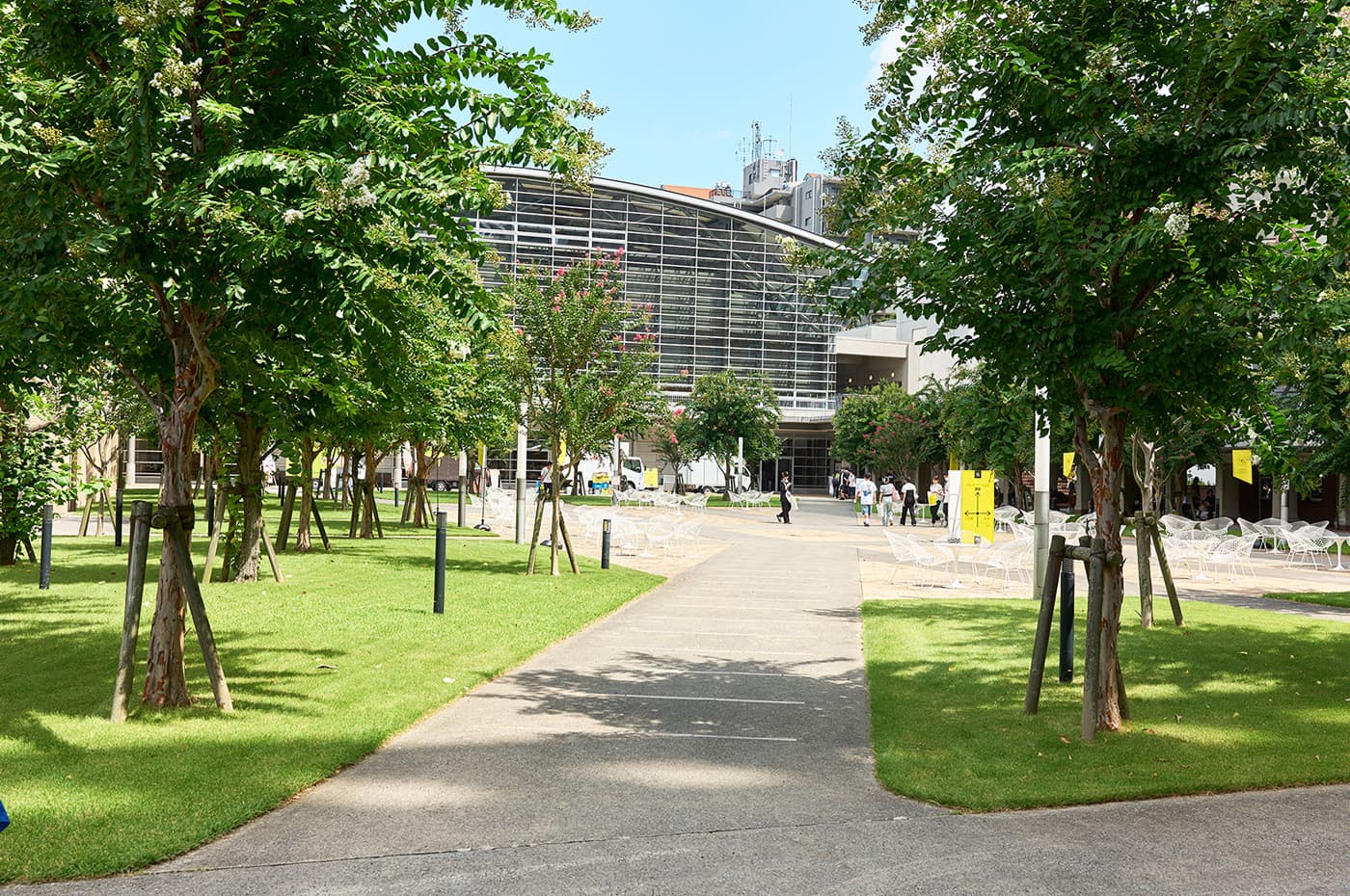 緑豊かな横浜キャンパスの並木道