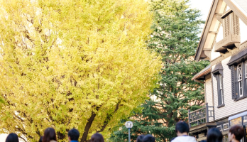 明治学院インブリー館