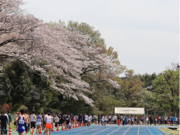 第312回日本体育大学長距離競技会