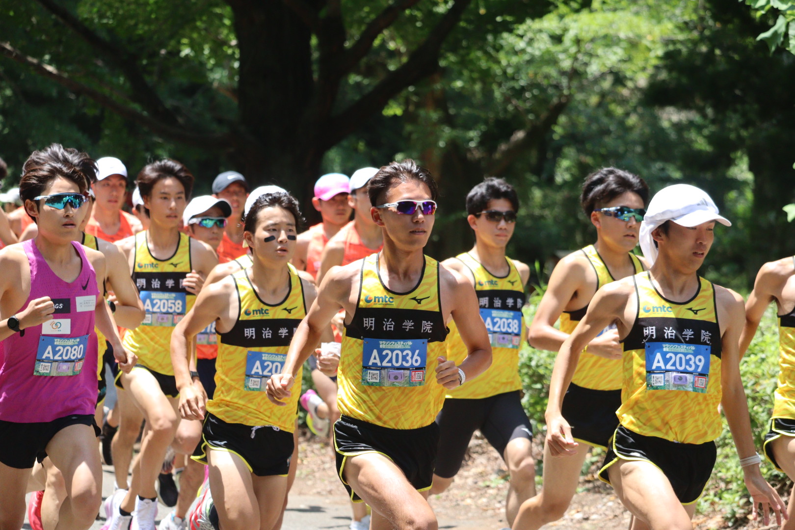 マラソンフェスティバル in 国営昭和記念公園 EARLY SUMMER 2025