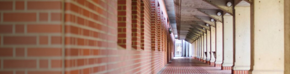 Faculty of Sociology & Social Work