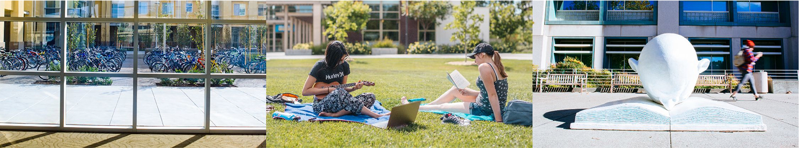 デービス校：UCD(University of California, Davis)