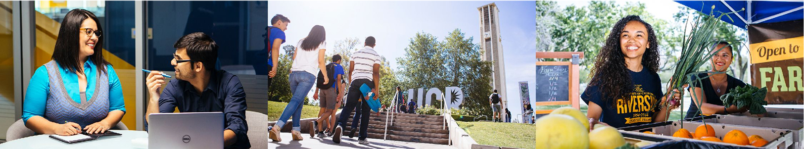 リバーサイド校：UCR(University of California, Riverside)