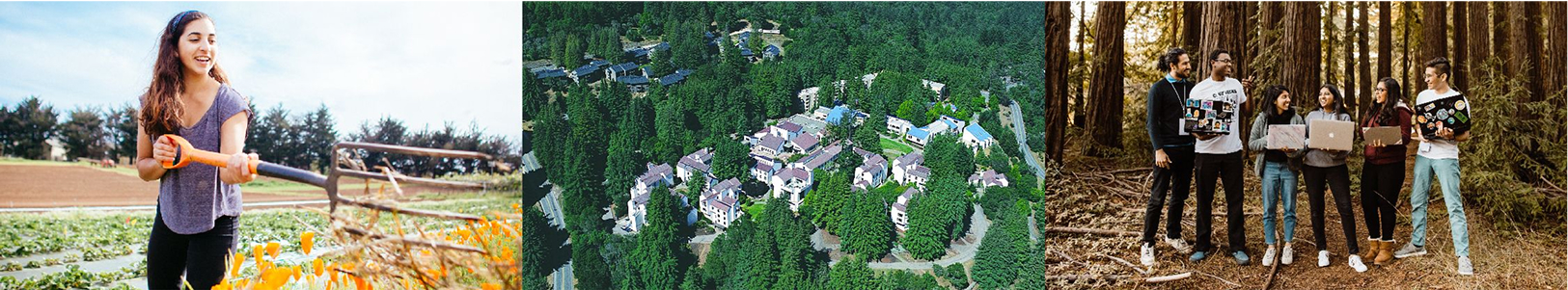 サンタクルーズ校：UCSC(University of California, Santa Cruz)
