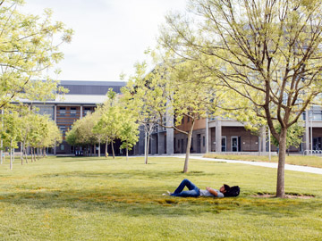 カリフォルニア大学マーセド校