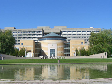 ヨーク大学