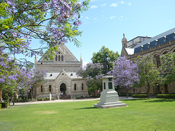 アデレード大学