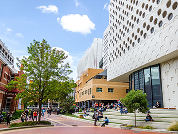 スウィンバーン大学