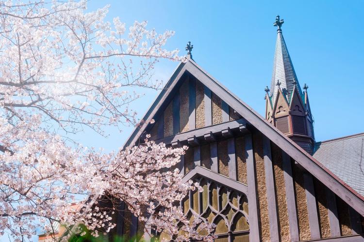 新入生サイトをオープンしました!