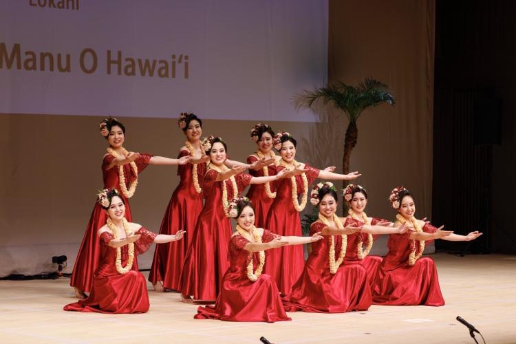 隣にいる仲間のために踊り続ける【任意団体　フラサークルLokahi】