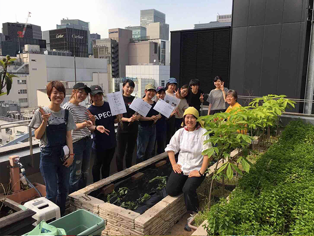 銀座ミツバチプロジェクト