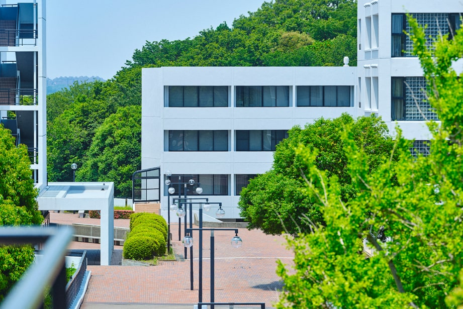 明治 学院 大学 掲示板