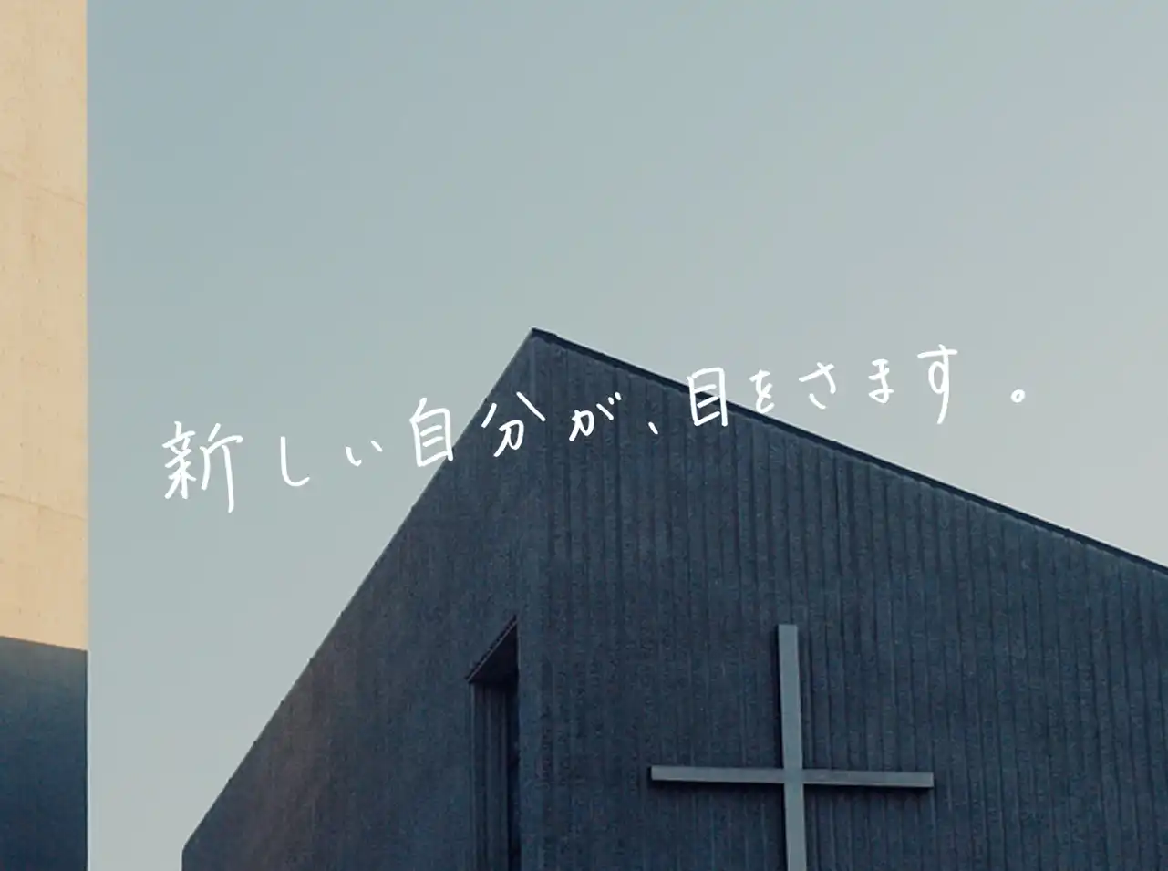 明治大学（全学部統一入試） (2025年版大学赤本シリーズ) | 教学