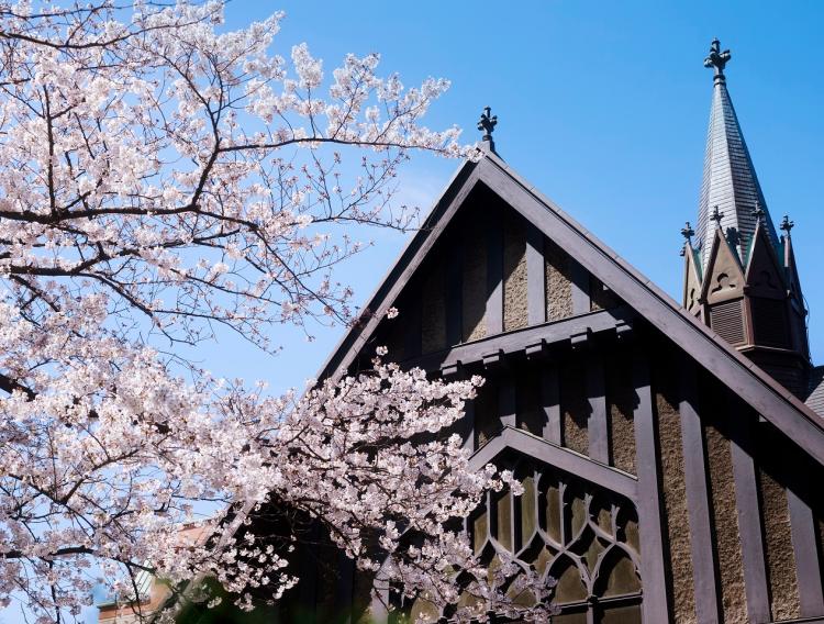 明治学院大学 Do For Others