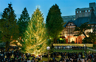 Christmas Tree Illumination