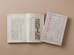 『桜の実の熟する時初版』
