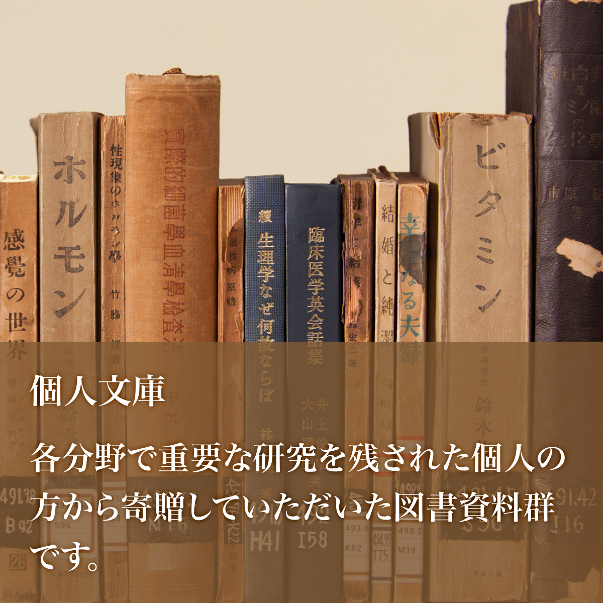 明治学院大学図書館 明治学院大学 図書館