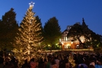 2008年白金クリスマスツリー点灯式