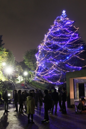 2010年横浜・クリスマスツリー点灯式